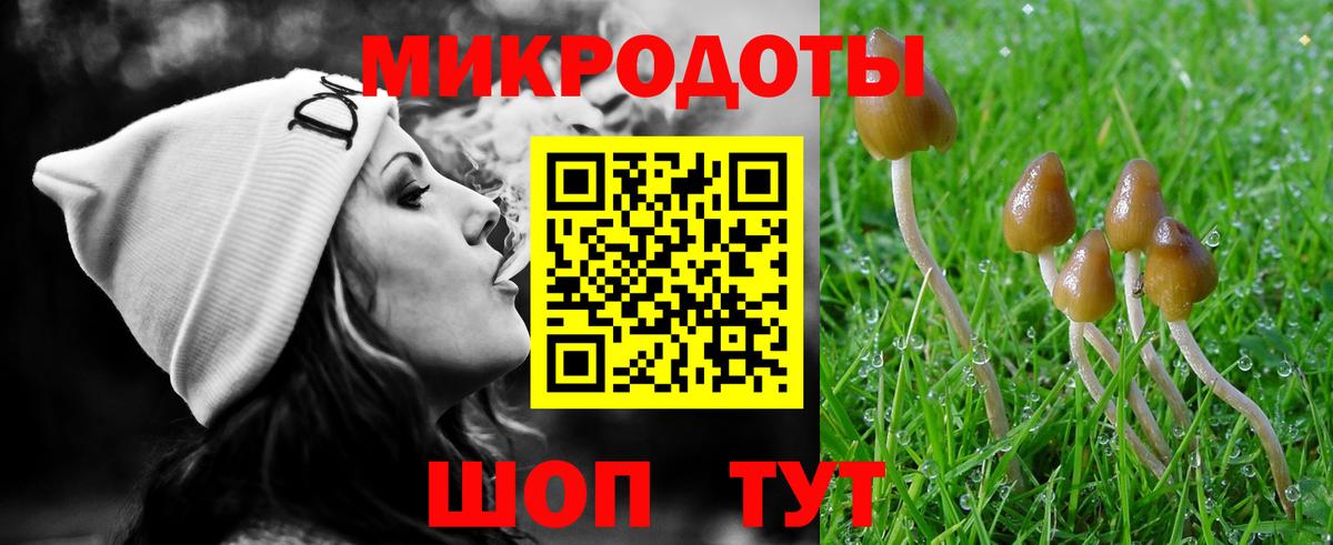 Галлюциногенные грибы Cubensis Мурино